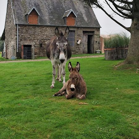 La Billardiere Camping A La Ferme Le Menil-Ciboult Exteriér fotografie