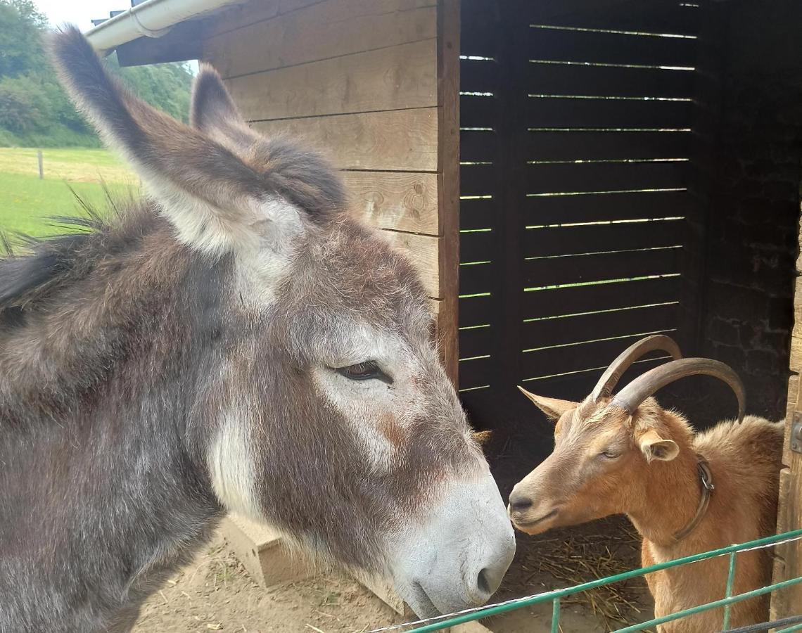 La Billardiere Camping A La Ferme Le Menil-Ciboult Exteriér fotografie